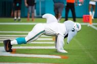 Dolphins mascot